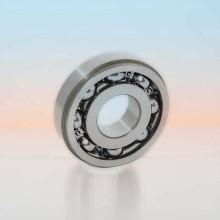 SX0483 RICH 22x56x14 SX0483 RICH