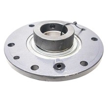 642495 RICH 642495 RICH