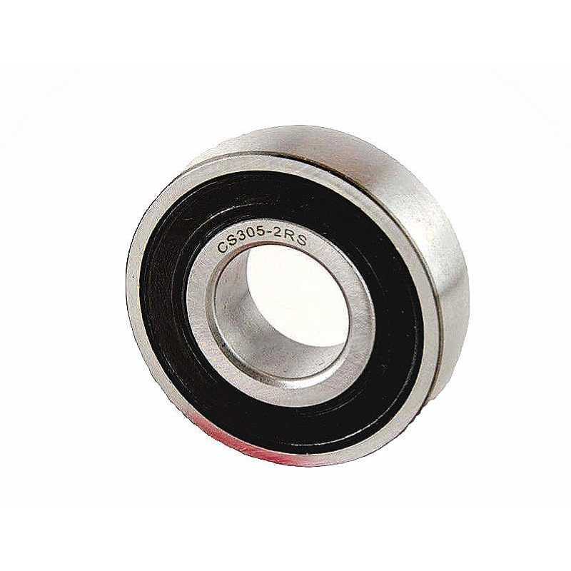 CS305-2RS RICH 25x62x17 CS305-2RS RICH