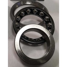 SAC 3055-1 RICH 30x55x17 SAC3055 RICH