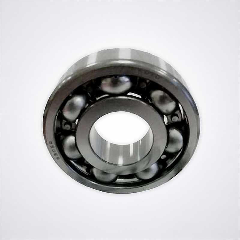 6305 R YR4 C3 RICH 25x62x17 6305RYR4SH2C3 RICH