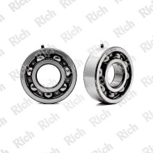 83464 A1-9T C4 RICH 25x62x17 83464A1-9TC4 RICH