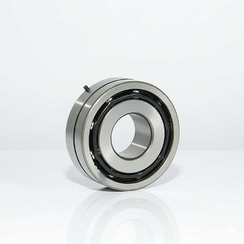 DAC 256222 YR1 LT RICH 25x62x22 DAC256222YR1LTSH2 RICH