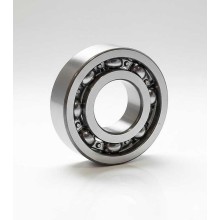 6003-15/4D YA1 RICH 17x38x10 6003-15/4DYA1SH2 RICH