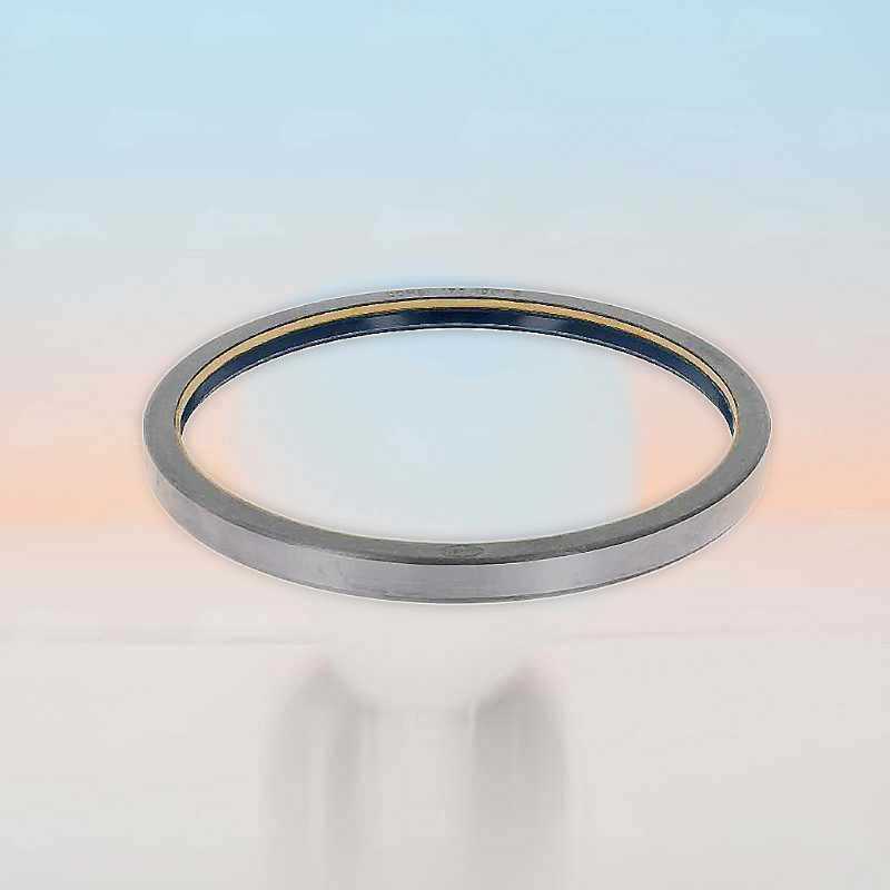 Oil Seal RICH 170x190x15 COMBI NBR 12013074B RICH