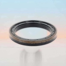 Oil Seal RICH 85x110x13 KASSETTE ACM 85x110x13 KASSETTE ACM RICH