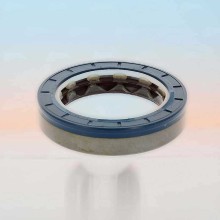 Oil Seal RICH 66x92x19 COMBI FPM 12017147B RICH