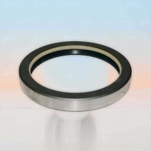 Oil Seal RICH 74x91x12 COMBI NBR 74x91x12 COMBI NBR RICH