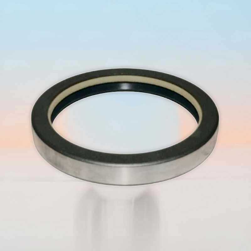 Oil Seal RICH 74x91x12 COMBI NBR 74x91x12 COMBI NBR RICH