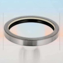 Oil Seal RICH 110x130x16 COMBI NBR 110x130x16 COMBI NBR RICH