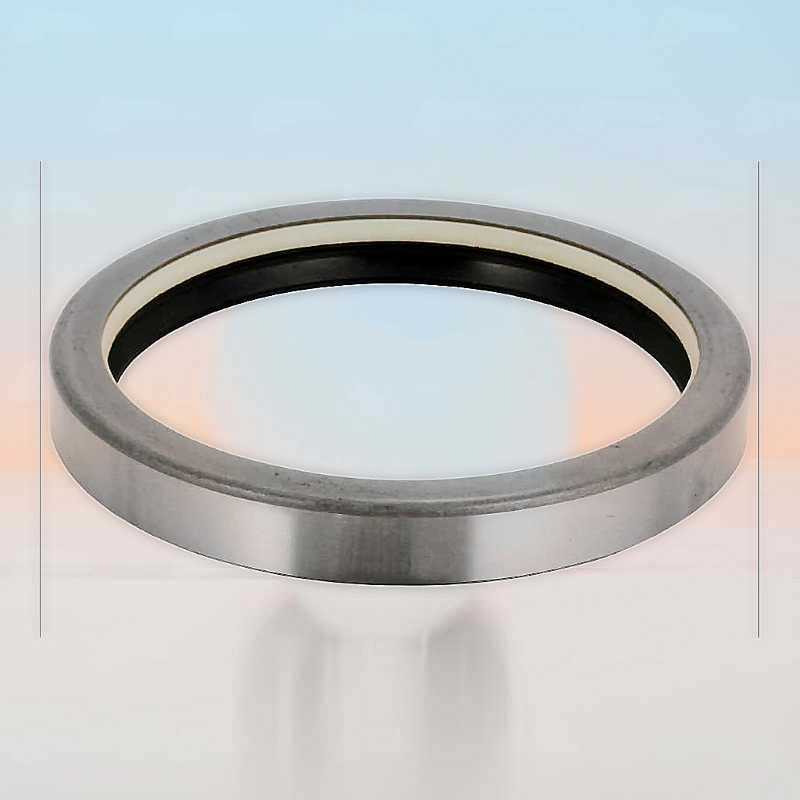 Oil Seal RICH 110x130x16 COMBI NBR 110x130x16 COMBI NBR RICH