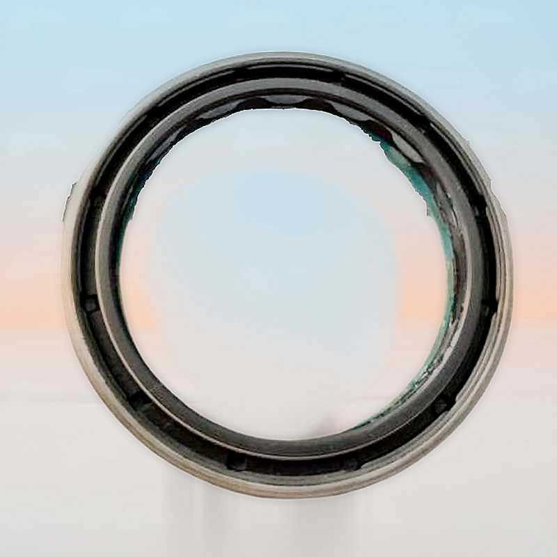 Oil Seal RICH 75x95x16,5 COMBI NBR 75x95x16,5 COMBI NBR RICH