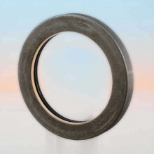 Oil Seal RICH 95x130x16 COMBI NBR 95x130x16 COMBI NBR RICH