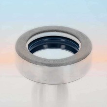 Oil Seal RICH 30x44x14 COMBI 30x44x14 COMBI RICH
