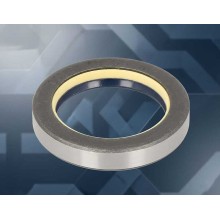 Oil Seal RICH 40x55x10 COMBI NBR 40x55x10 COMBI NBR RICH