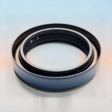 Oil Seal RICH 56x76x13/15,5 COMBI FPM 56x76x13/15,5 COMBI FPM RICH