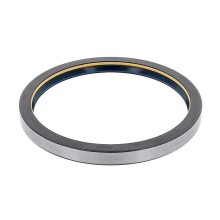 Oil Seal RICH 165x190x17 COMBI NBR 165x190x17 COMBI NBR RICH