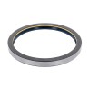 Oil Seal RICH 165x190x17 COMBI NBR 165x190x17 COMBI NBR RICH