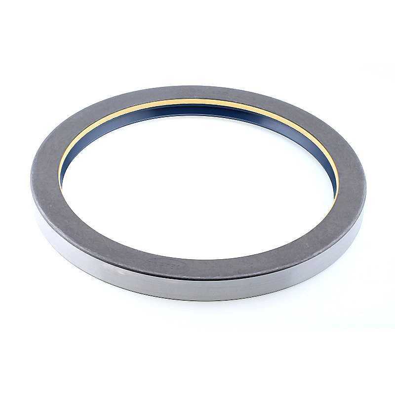 Oil Seal RICH 170x205x17 COMBI NBR 170x205x17 COMBI NBR RICH