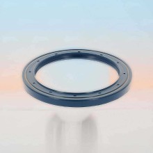 Oil Seal RICH 70x90x7 BABSL1 NBR 70x90x7 BABSL1 NBR RICH