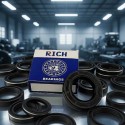 Oil Seal RICH 30x42x6/6,5 BABSL FPM 30x42x6/6,5 FPM RICH