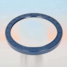 Oil Seal RICH 140x170x15/16 BABSL NBR 12011538B RICH