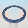 Oil Seal RICH 140x170x15/16 BABSL NBR 12011538B RICH