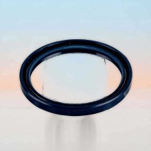 Oil Seal RICH 60x72x7/7,5 BABSL NBR 01033754B RICH
