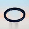 Oil Seal RICH 60x72x7/7,5 BABSL NBR 01033754B RICH