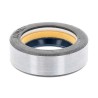 Oil Seal RICH 30x42x14 COMBI NBR 12001878B RICH