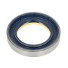 Oil Seal RICH 48x74x13 COMBI NBR 12001898B RICH