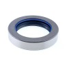 Oil Seal RICH 65x92x18 COMBI SF6 NBR 12013465B RICH