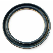 Oil Seal RICH 95x120x13 COMBI NBR 12012399B RICH