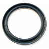 Oil Seal RICH 95x120x13 COMBI NBR 12012399B RICH