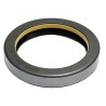Oil Seal RICH 55x72x12 COMBI NBR 12011794B RICH