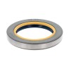 Oil Seal RICH 55x80x11 COMBI NBR 12013176B RICH