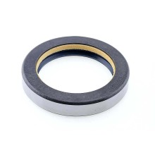 Oil Seal RICH 45x62x11 COMBI NBR 12012296B RICH