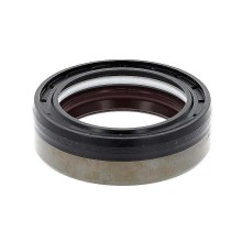 Oil Seal RICH 48x65x19 COMBI FPM 12036965B RICH