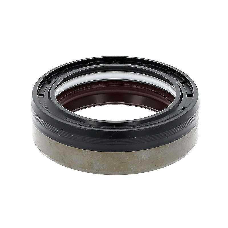 Oil Seal RICH 48x65x19 COMBI FPM 12036965B RICH