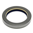 Oil Seal RICH 60x80x12 COMBI NBR 12012930B RICH
