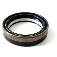 Oil Seal RICH 60x75x17,5 COMBI NBR 12036962B RICH