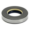 Oil Seal RICH 35x62x12 COMBI NBR 12012786B RICH