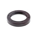 Oil Seal RICH 25x35x6/6,5 BABSL FPM 12001831B RICH