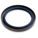 Oil Seal RICH 100x130x12 FPM 01020316B RICH