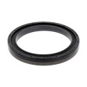 Oil Seal RICH 100x130x14 FPM 12036961B RICH