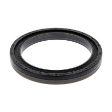 Oil Seal RICH 100x130x14 FPM 12036961B RICH
