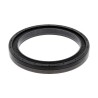 Oil Seal RICH 100x130x14 FPM 12036961B RICH