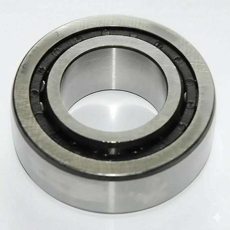 AP-608-270 RICH 30,2x59x22 AP601797 RICH