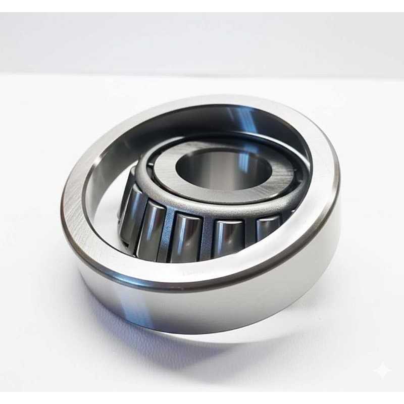 NP868033/NP666556 RICH 25x66x22 NP 868033/NP666556 RICH