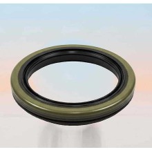 Oil Seal RICH 40x54x7 NBR 19016499B RICH